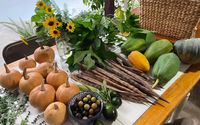 Regenerative, Permaculture Design and Education by Grow Permaculture