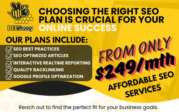 Affordable SEO Plans from Only $249/ Month by BeeSavvy LLC.