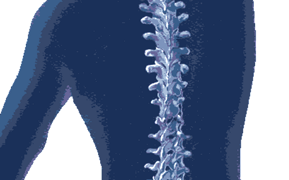 Spinal Manipulation by Concord Health Center
