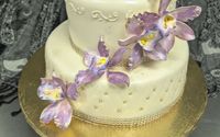 Special occasion cakes by Diane’s Patisserie