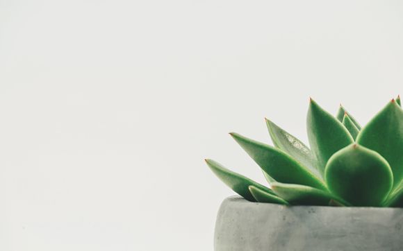 Ketamine Assisted Therapy by Pivotal Counseling LLC