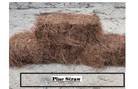 Pine Straw by Ringer's More than Mulch Landscaping Supply