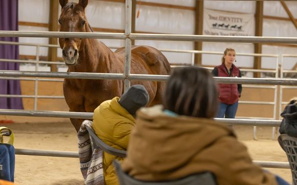 Therapeutic Services by Just Breathe With A Horse