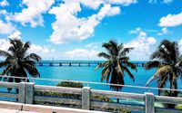 Florida Keys Tours by Up The Keys Tours