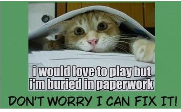 Number Crunch Bunch by Number Crunch Bunch