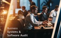 Business Systems & Software Audit by Nikki's Office 