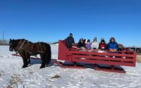 Sleigh/Wagon Ride Fun Time  by Putting Horse Ranch 