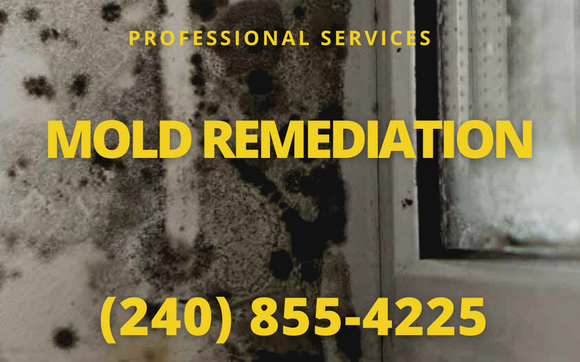 Expert Mold Remediation for Healthier Homes by New America Restoration 