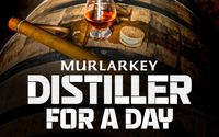 Distillation Workshops by MurLarkey