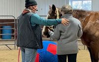 Holistic Healing by Serenity Farm and Stables/ Intentional Serenity