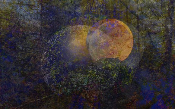 Art Sales by Candy Kuehn Studio