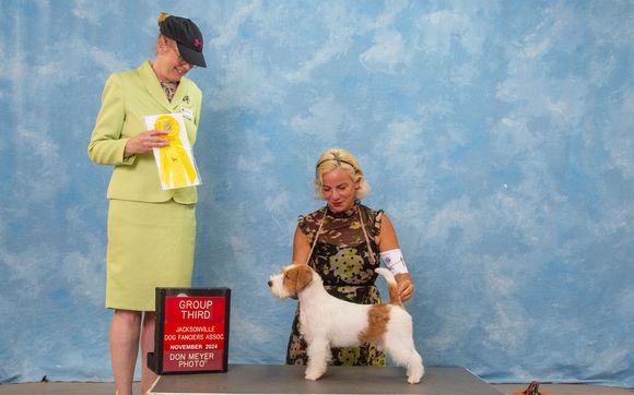 Purebred Puppies by Butterball Kennel