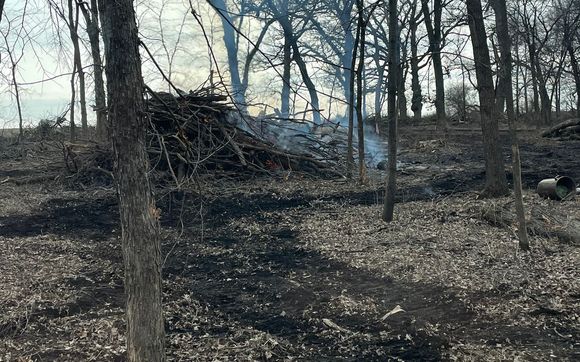 Land Clearing, tree removal, building demo by Level Up Excavation & Grading, LLC