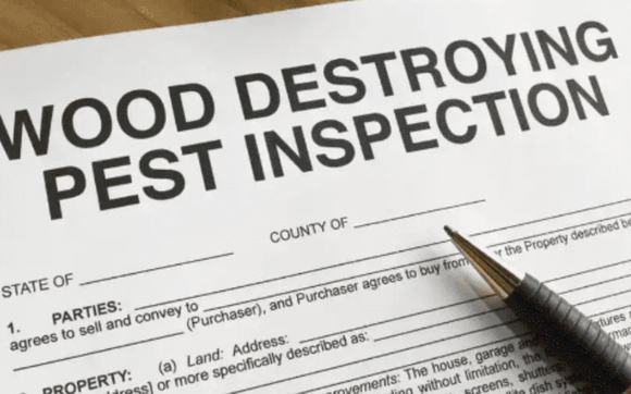 Termite Inspection - NPMA33 by Expert NY Inspections