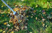Spring & Fall Maintenance by Schwartz Lawn Maintenance