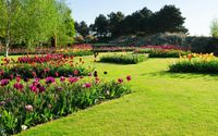 Bedding by Schwartz Lawn Maintenance