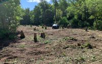 Lot Clearing by Cornerstone Stump Grinding LLC.