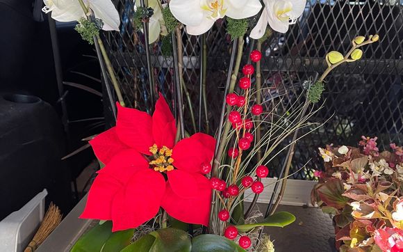 Seasonal Flowers by MJ Orchids