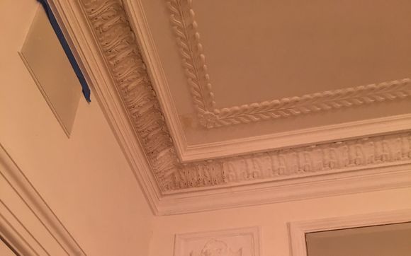 Plaster Repairs by Ionic Casting