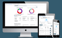 Cash Flow Mapping Solution by Guardian Chamber Business Solutions, LLC