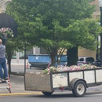 Volunteering Opportunities by Albany Downtown Assoc.
