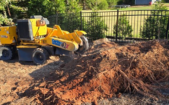 Stump grinding  by Stump Boss LLC