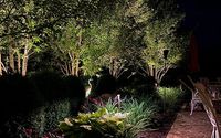 Landscape Lighting by Aluminight Custom Outdoor Lighting