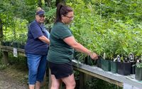 Native Plant Sales  by Amanda's Native Garden LLC