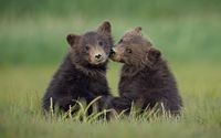 Photo Tours & Workshops by Canon Canada Ambassador