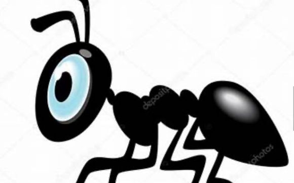 Ant Extermination by Ryno's pest control