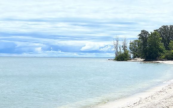 Relocation Services by Lake Erie Luxe Group, Brokered By eXp Realty