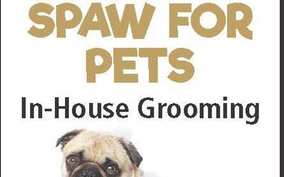 Grooming. Dog Supplies by Raw For Pets Canada