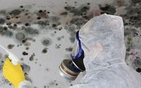 Mold Removal  by R&L Global Inc.