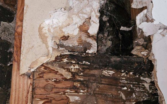 Mold/dryrot by RESCO - Restoration Emergency Services Company