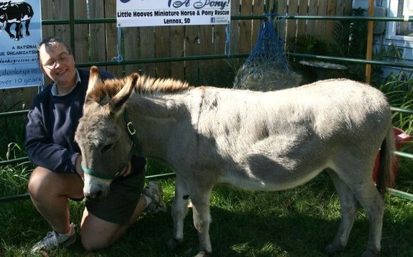 Little Hooves Mini Horse Rescue - White Area - Alignable