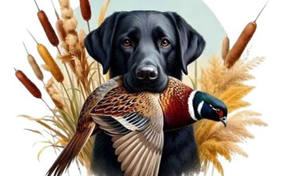 Needlepoint by CROSS-STITCH PATTERNS