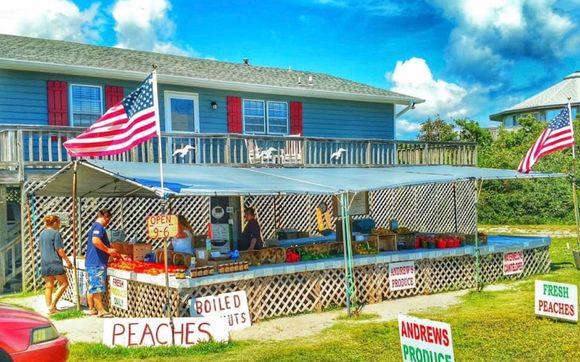 Farmers Market by Andrews Produce /Opens Spring 2025 in Sneads Ferry ...