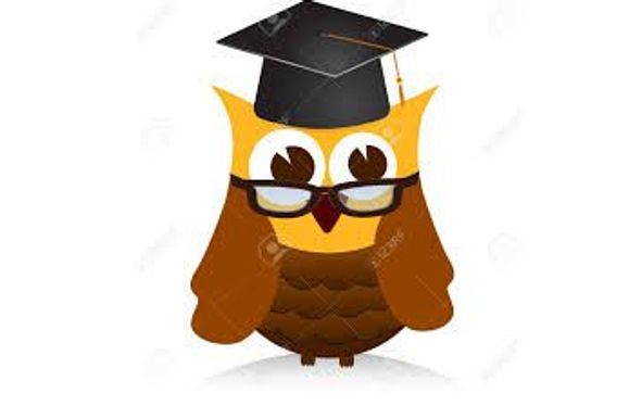 Canadian income tax returns by Wise Owl Business Services Canada