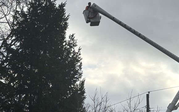 Clovis outdoors  by Clovis Outdoor Services