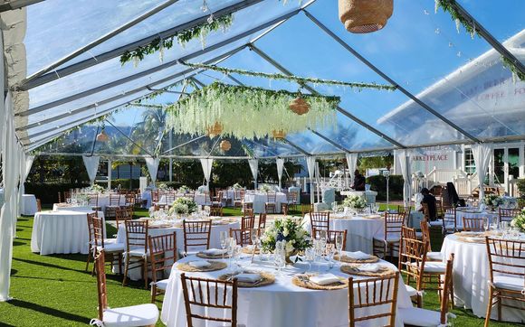 Chairs by Ocean Breeze Party Rentals
