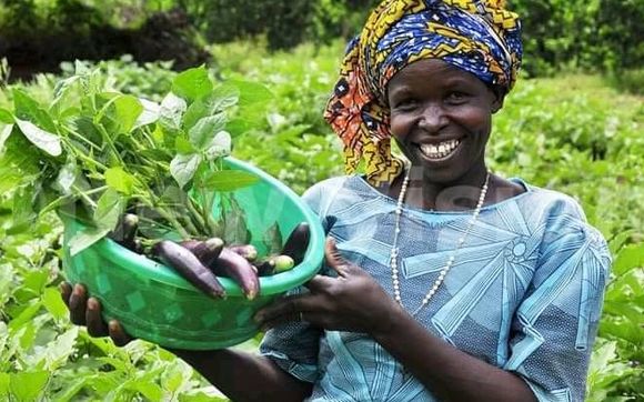 Support Us with Tax-Deductible Donations by Kayonza Global Network