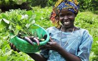 Support Us with Tax-Deductible Donations by Kayonza Global Network