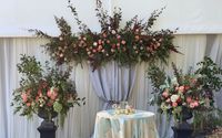 Event Designer by Bells & Whistles @ the flower field