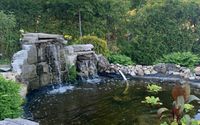 Our  Pond by Micheau Lawn Maintenance