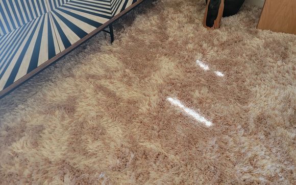 Carpeting by Floor Coverings International Southwest Chicago