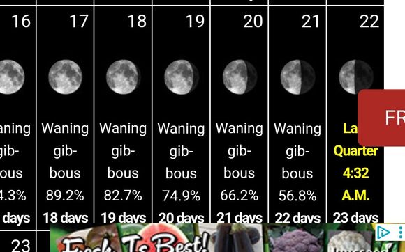 Spring Equinox Workshop  by Obsidian Eagles Natural Healing