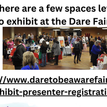 Exhibit Booth at our annual fair by Dare to Be Aware Fair