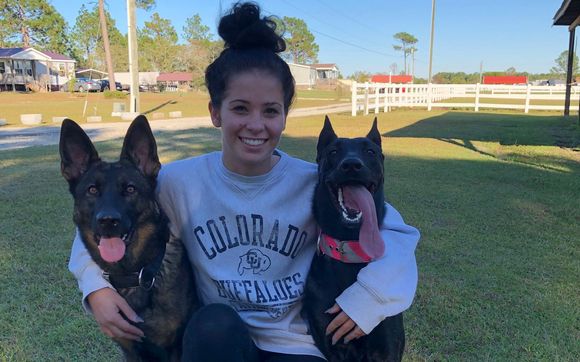 Behavior Modification - Board and Train Program by Top Paw K9 Academy