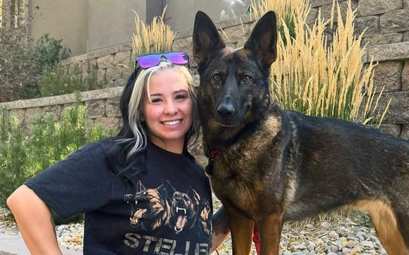 In-Person Training Programs by Top Paw K9 Academy