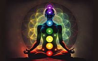Reiki by Organic Palms Massage & Reiki